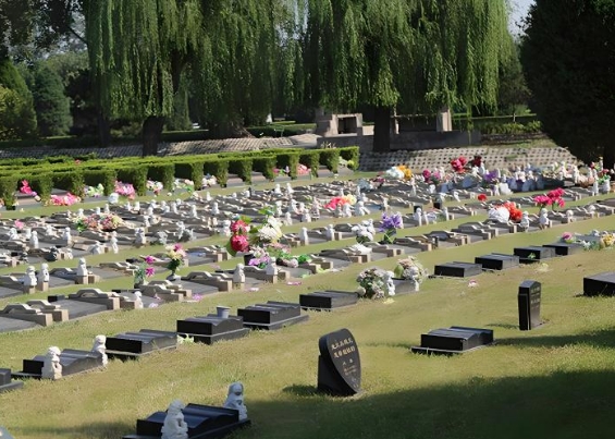 长青园骨灰林是合法墓地吗？